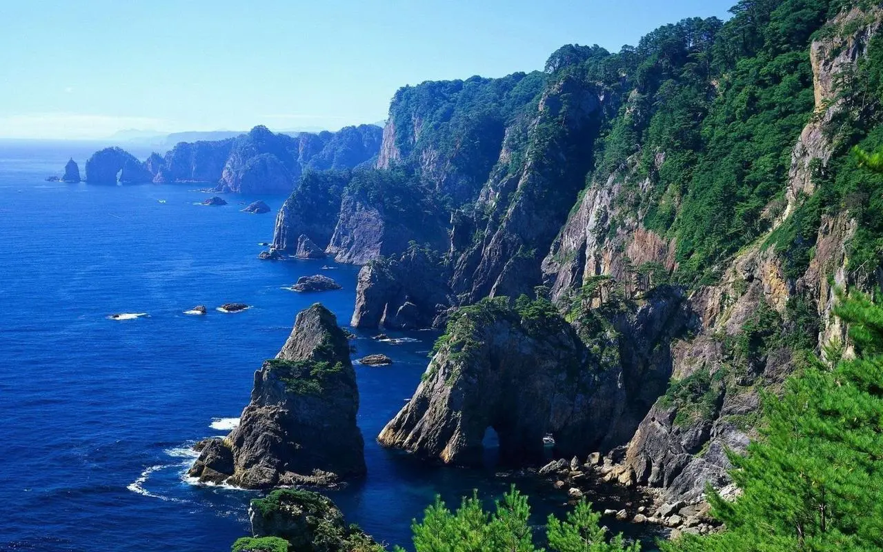 节能智能全自动